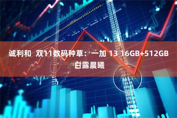 诚利和 双11数码种草:一加 13 16GB+512GB 白露晨曦