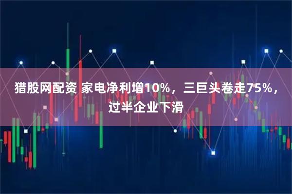 猎股网配资 家电净利增10%，三巨头卷走75%，过半企业下滑